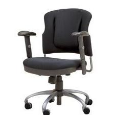 Lumbar Flex Chair