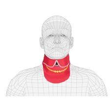 Thyroid Fun Collar: Necklace
